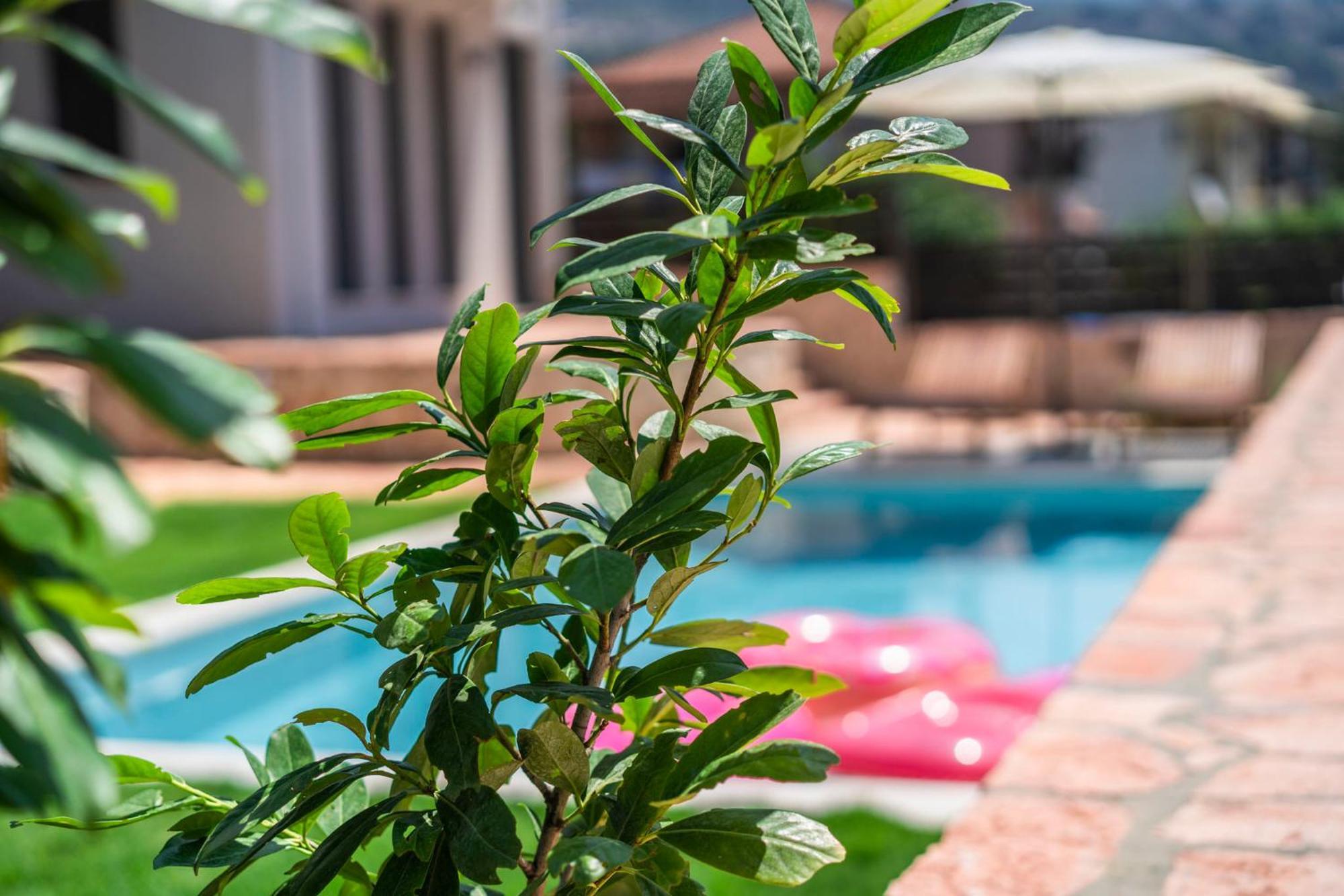 Apartamento Marival Luxury Living - Adults Only Sívota Exterior foto